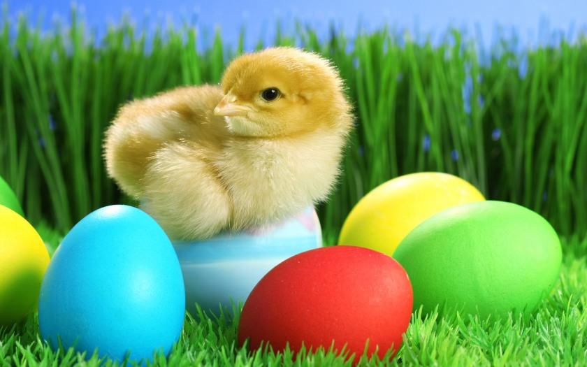 Easter-Eggs20